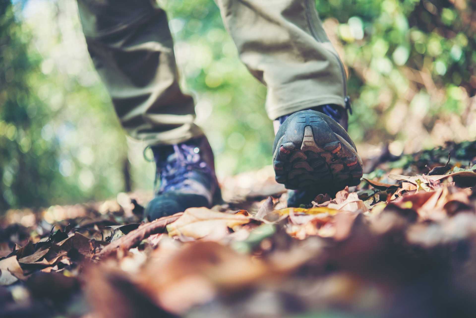 Accompagnement en pleine nature